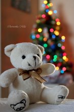 Teddy Bear Christmas / 2012