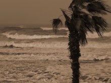 LIGHT BREEZE / ****************