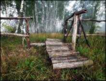 The bridge in the woods / ***
