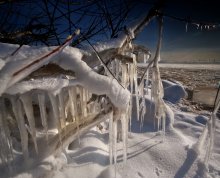 grin winter / ***