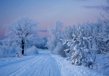 the white silence / ***