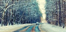 Snowy road / ***