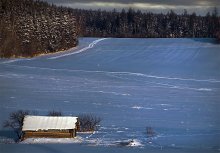 expanses of native / ***