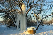 Tree &quot;ice fountain&quot; / ***