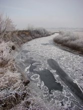 The frozen expanse / ***