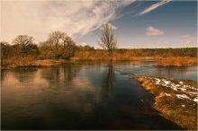 Spring tide / ***