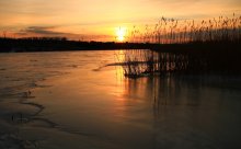 Evening ice. / ***