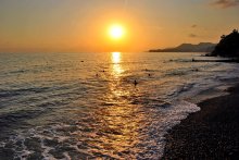 evening swimming / ***