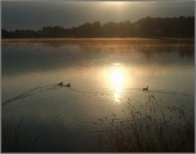 Dawn with ducks 2 / ***