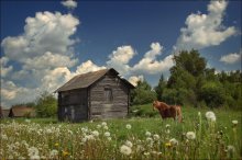 Soon the summer! / ***