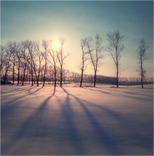 Long shadows in February / ******