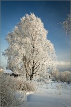 snowy winter ... / ***