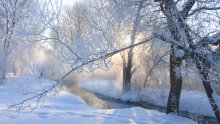 Frosty Morning / ***