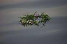wreath / ***