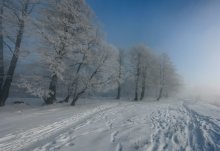 frosty trails / ***