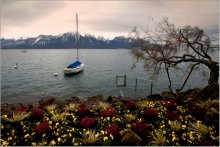 Lake Geneva / ***