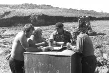 Lunch at the landfill / ***