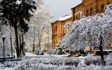 biology faculty / ***