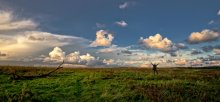 scattered clouds on blue sky ... / ***