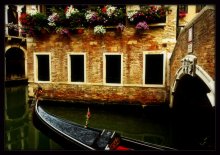 Venice / ------------