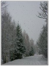 The last snowfall of winter. / ***