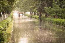 Summer rain / ***