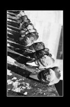 Pioneers) / ***