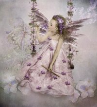 The Violet Fairy / ***