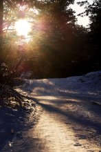 Fighting Shadows / ***