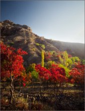 Dawn of an autumn day / ***