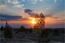 Spring evening / ***