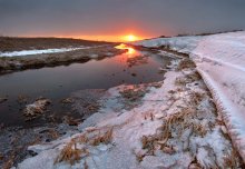 Dawn March 8 / .......