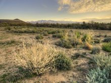 Desert, the first morning light .. / ***