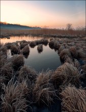 mayzhe Spring / .....