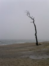 Bank of sorrow / *****