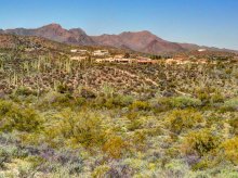 Desert, Tucson / ***