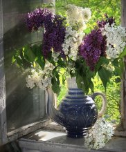 Lilacs on the old box / *******
