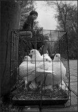 Happiness in captivity ... / ***