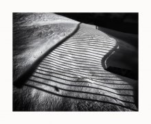 shadow, the shadow / ***