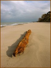 Autumn on the coast / *****