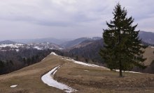 Carpathian spring / ******