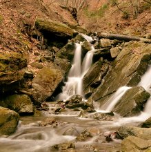 Spring in the Carpathian Mountains 2 / ******