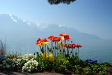 Montreux, Switzerland / ***