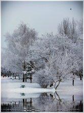 Winter in Mariupol / ***