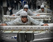 ABOUT BORN TO FLY ... / ***