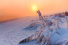 Frosty morning at Vilia / ***