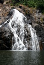 Dudhsagar Falls / ***