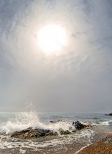 light waves and the sea / ***