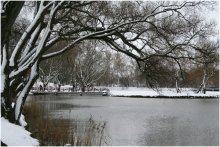 Winter Pond / ***