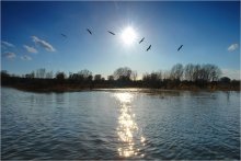 In the floodplain of the Oka / :-)